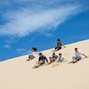 Image 9: Port Stephens Dolphin Cruise Koalas Sandboarding Japanese Tour