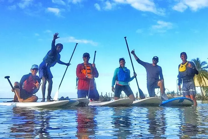 Kayaking with coastal wildlife in Sarasota Bay