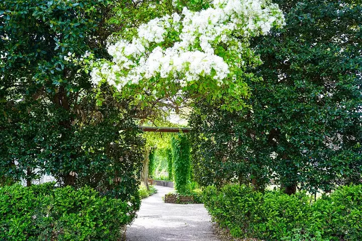 Texas Discovery Gardens General Admission