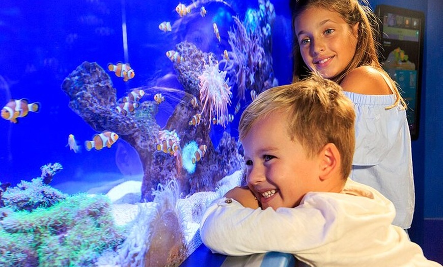 Image 17: Acuario de Palma con autobús de vuelta desde Port Alcudia