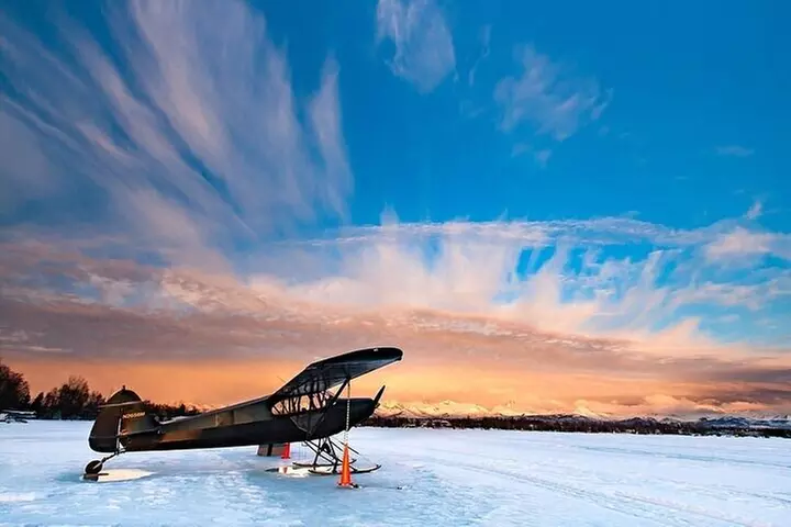 Anchorage's Winter City Tour = Samples + Stops + WildLife