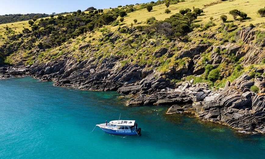 Image 9: Kangaroo Island Ultimate Adventure Tour departing Penneshaw