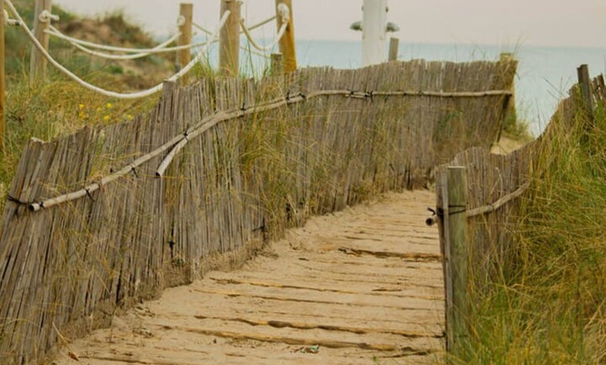 Image 12: El Tour Original de la Albufera : Barraca, Paseo en Barco & Guía Local