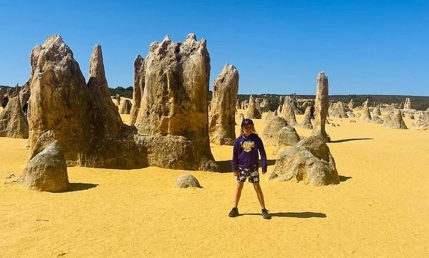 Image 3: Turquoise Coast and Pinnacles Desert, Lunch Included.