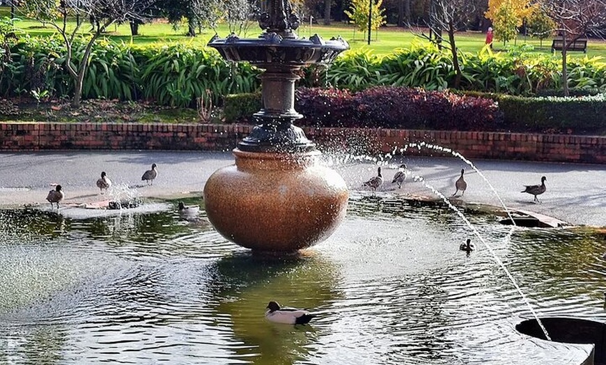 Image 3: Melbourne and Moonlit Sanctuary Shore Excursion