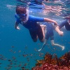 Image 1: Snorkeling Adventure for Kids with Private Guide In Sydney