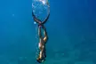 Two Site Snorkeling Adventure featuring the Molokini Crater - Second Medium