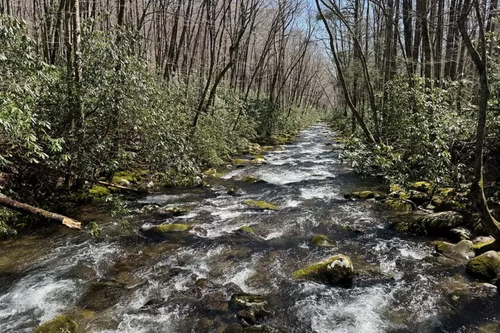 Kuwohi Mountain Great Smoky Mountains Tour - Second Medium