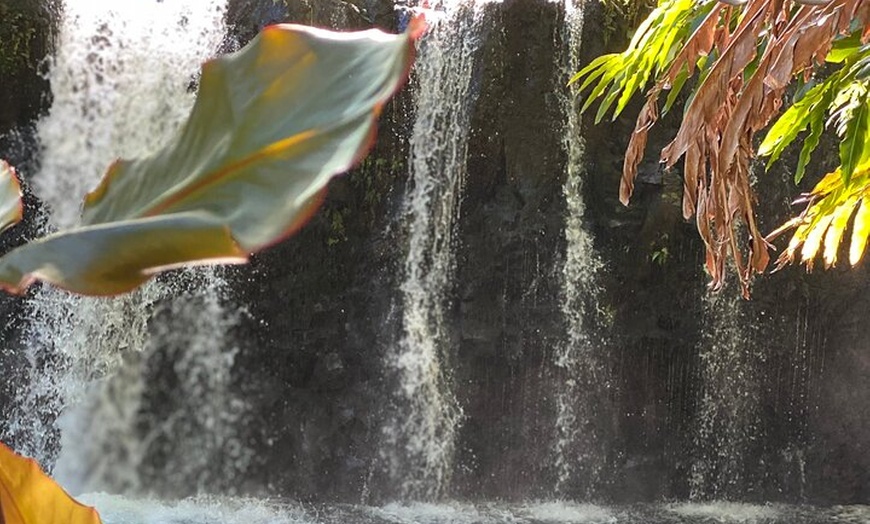 Image 3: Halfway to Hana Sightseeing Adventure