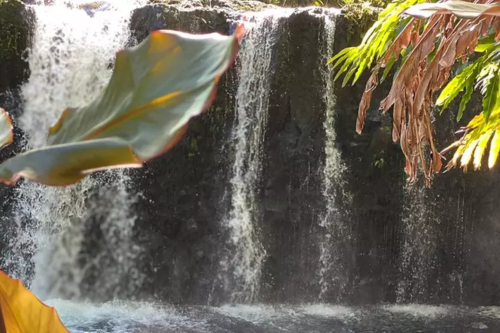 Halfway to Hana Sightseeing Adventure