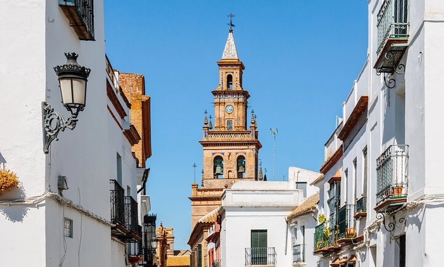 Image 6: Excursión Privada Medio Día a Carmona desde Sevilla