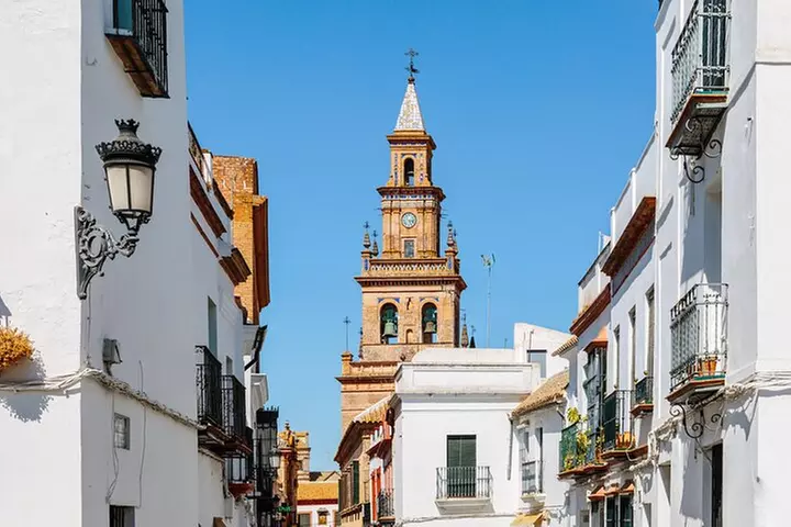 Excursión Privada Medio Día a Carmona desde Sevilla - Second Medium
