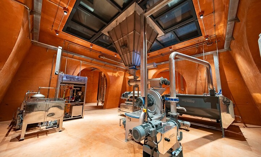 Image 7: LA Almazara Aceite de Oliva y Degustación con Audioguía