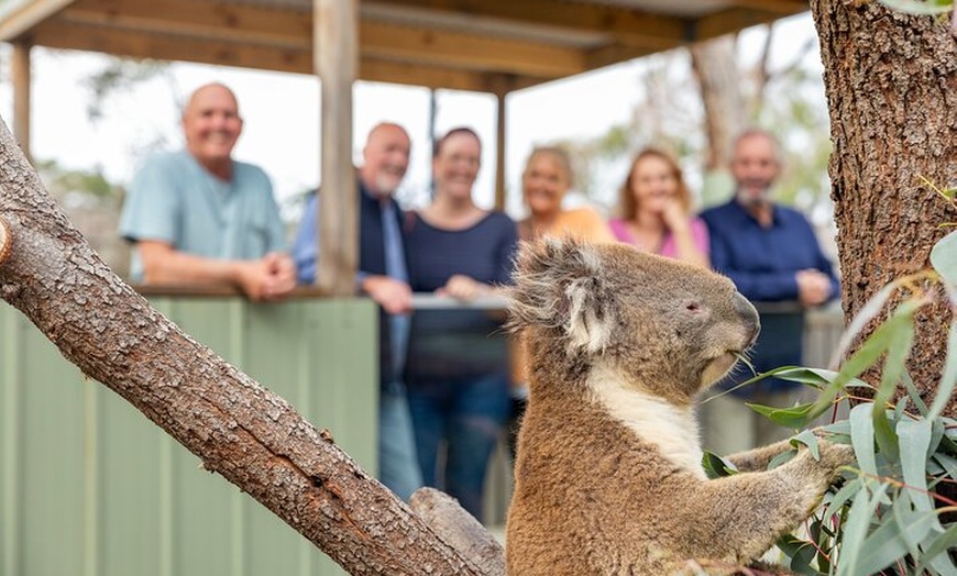 Image 10: Explore Mornington Wildlife Wine and Hot Springs