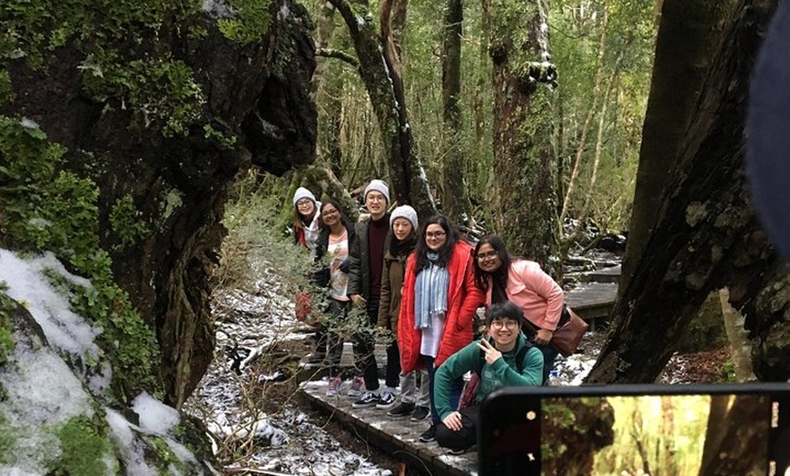 Image 4: Cradle Mountain - Hobart to Launceston Day Tour