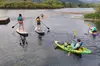 Columbia River Gorge Stand Up Paddle Experience