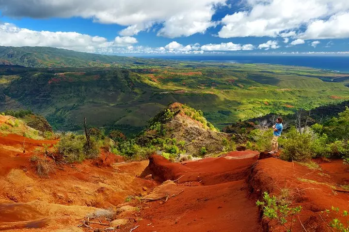 Day Trip from Oahu to Kauai: Waimea Canyon & Koke'e Tour