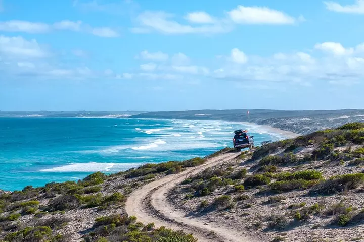 Port Lincoln National Park Half day Tour - Primary Image