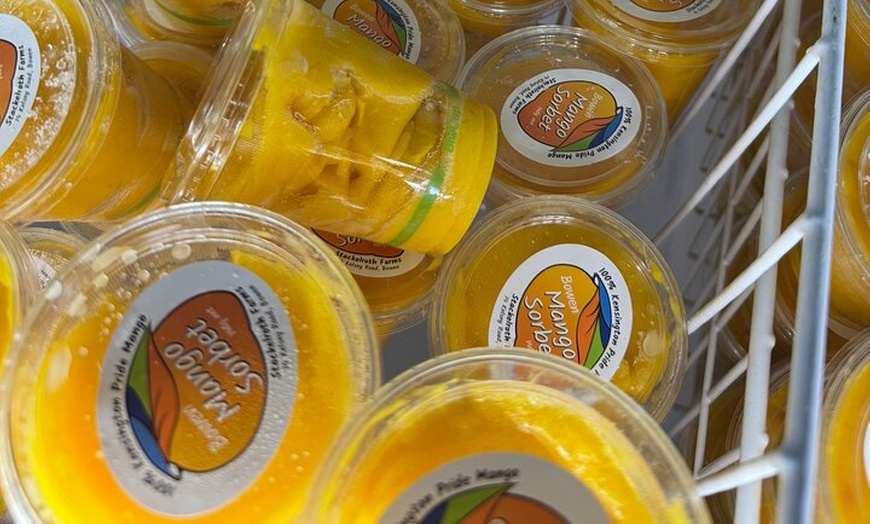 Image 6: Beautiful Bowen Private Tour Departing From Mackay.