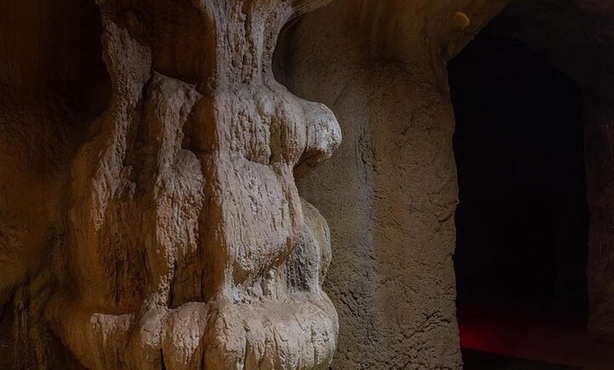 Image 5: Tamborine Mountain Winery and Glow Worm Caves Tour