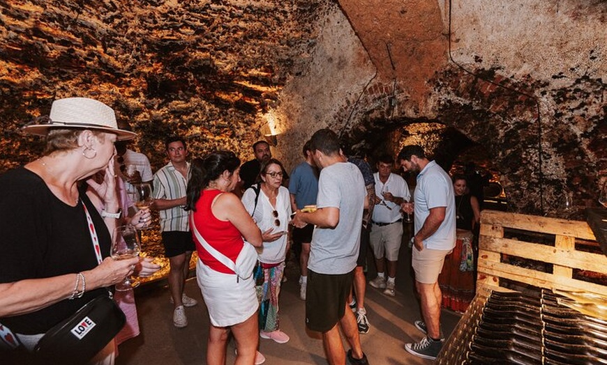 Image 5: Visita Guiada a Bodegas Rurales de Madrid con Cata de Vinos