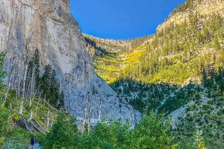 Mount Charleston Tour from Las Vegas