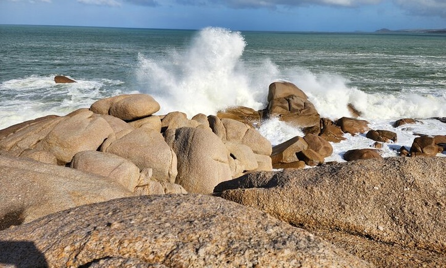 Image 5: Premium Victor Harbor, Port Elliot and d'Arenberg Minibus Tour