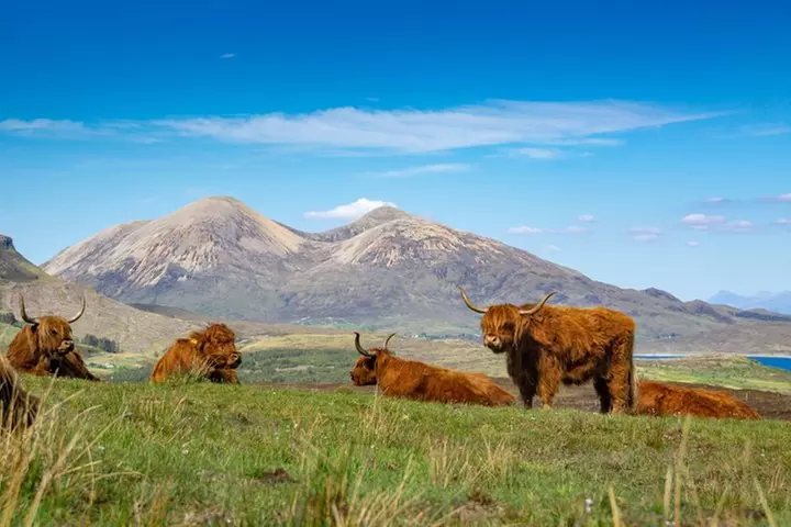 3 Day Tour from Edinburgh the Isle of Skye Highlands & Loch Ness - Image 5