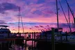 Anna Maria Island Dolphin Sunset Boat Tour - Second Medium