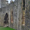 Image 4: Open Group Guided Tour of Conwy Castle with an Official Guide