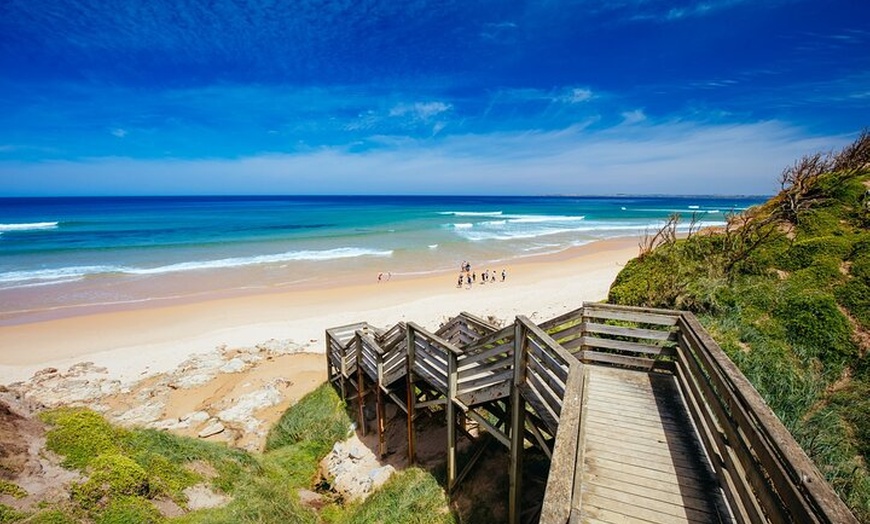 Image 10: Melbourne Puffing Billy Train and Penguin Parade Day Tour Escape