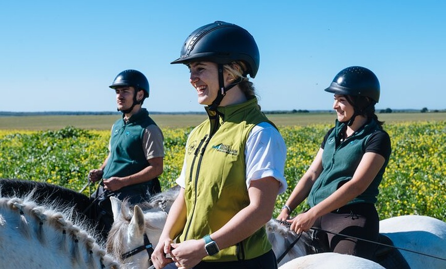 Image 9: Paseos a caballo por el Parque Nacional de Doñana