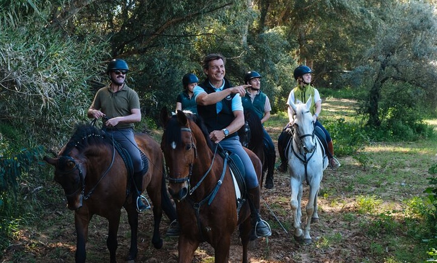 Image 7: Paseos a caballo por el Parque Nacional de Doñana