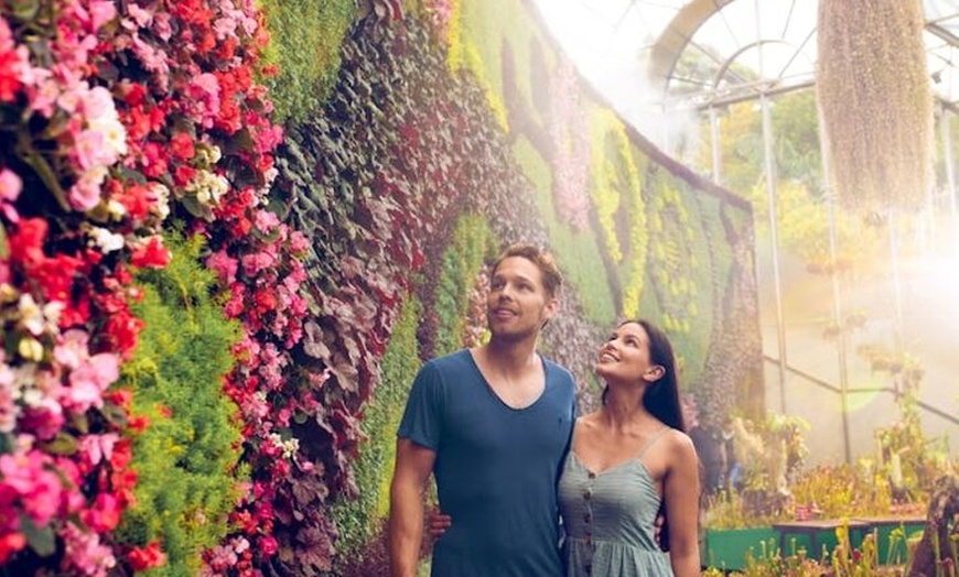 Image 6: Sydney Private Tour - Pick up & Drop off