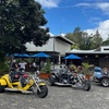 Image 10: Tropical Trike Tours Port Douglas - Scenic Tour