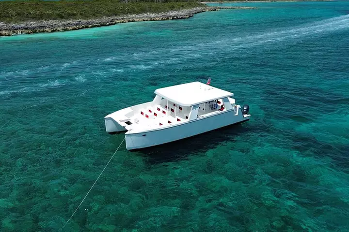 Bahamas: Swimming Pigs, Snorkeling, Beach Break Package