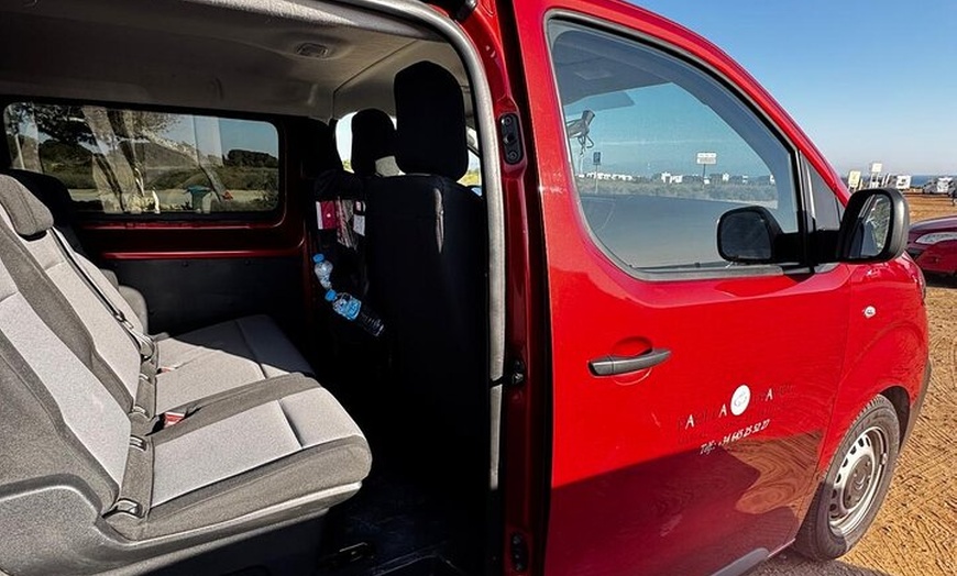 Image 24: Alicante; Recorrido Vinícola Bodega Cata Vinos, Comida y Traslado