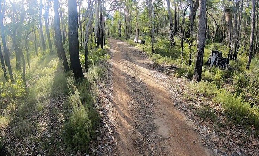 Image 2: Local Gems 3 Hour MTB Small Group Tour