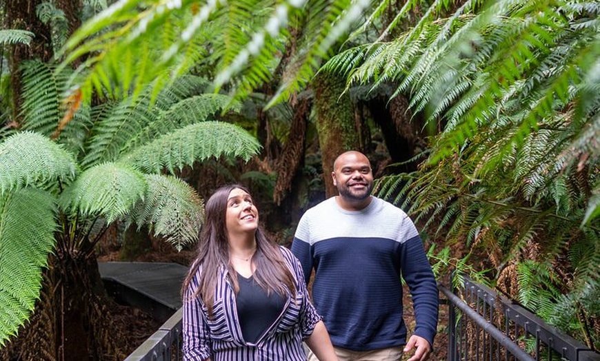 Image 16: Melbourne to Adelaide 3 Day Tour via Great Ocean Road & Grampians