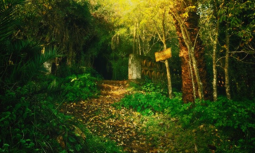 Image 5: Visita al Bosque Encantado de Córdoba en Hornachuelos