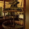 Image 9: Visita a la Bodega, Museo del Vino y Cata en Gran Canaria