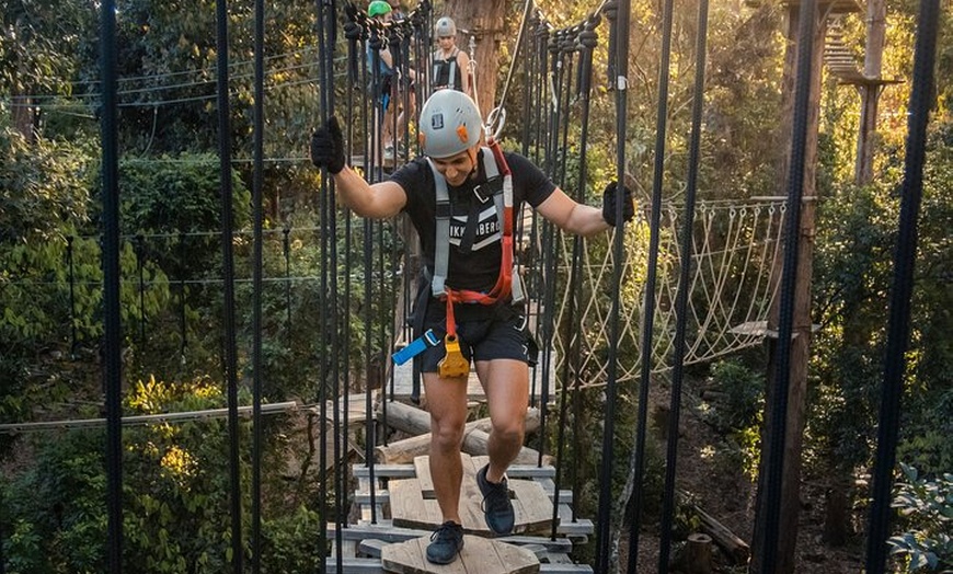 Image 11: Sunshine Coast Adventure Park TreeTop Challenge