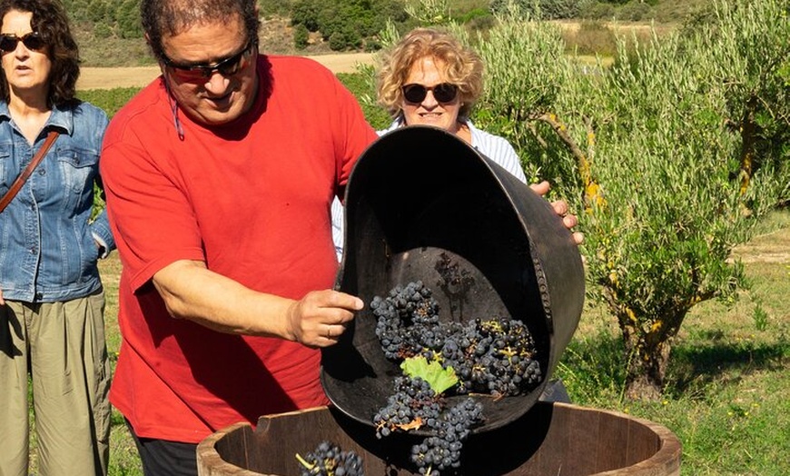 Image 41: Clase magistral de acceso y degustación exclusiva de bodegas secret...