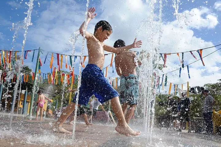 Zoo Miami Ticket with Optional Upgrade