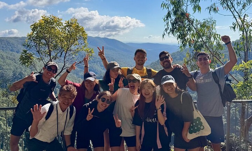 Image 4: Koalas, 6 Springbrook Waterfalls and Natural Bridge Day Tour