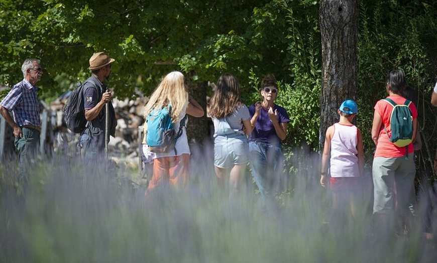 Image 7: Randonnée Familiale dans les Champs de Lavande du Vercors