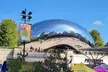 Luxury Minibus Chicago City Tour - Second Medium