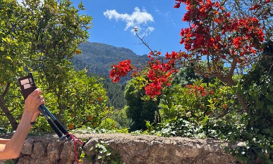 Image 30: Sierra de Tramuntana caminata con pequeño picnic