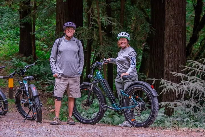 4 Hour Redwood National and State Park E Bike Adventure - Second Medium