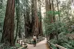 Muir Woods & Sausalito: Small Group Experience - Second Medium